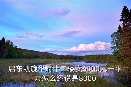 啟東凱旋華府十二樓賣6500元一平方怎么還說是8000