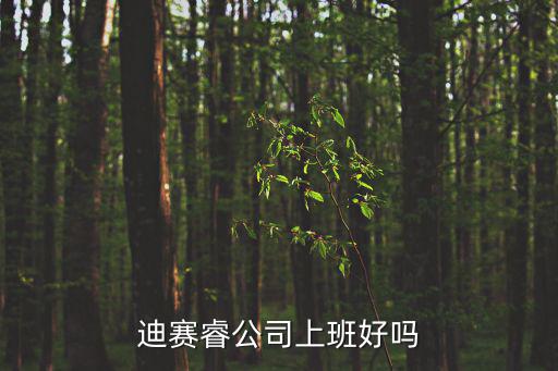 迪賽睿公司上班好嗎