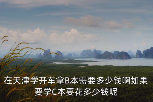 在天津學開車拿B本需要多少錢啊如果要學C本要花多少錢呢