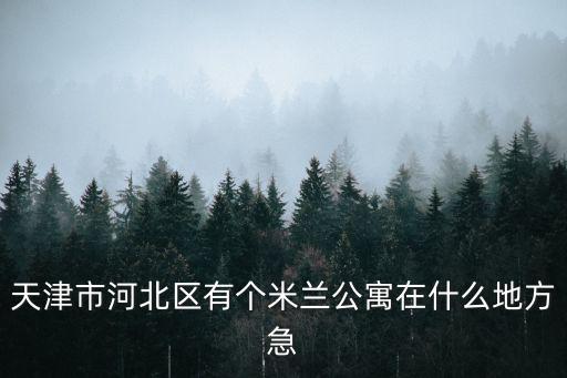 天津市河北區米蘭公寓15號，天津市河北區有個米蘭公寓在什么地方急