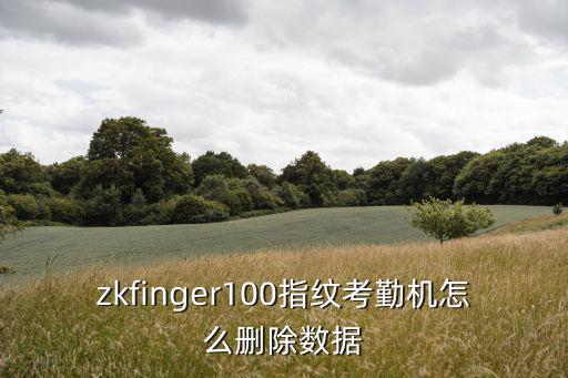zkfinger100指紋考勤機怎么刪除數據