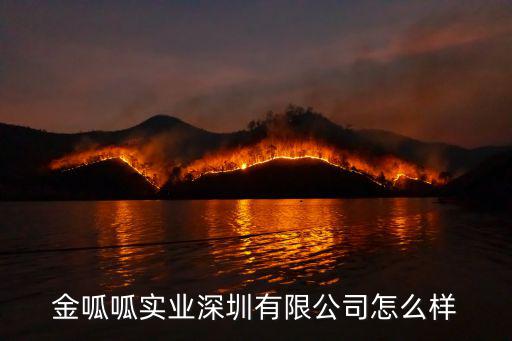 金呱呱實業深圳有限公司怎么樣