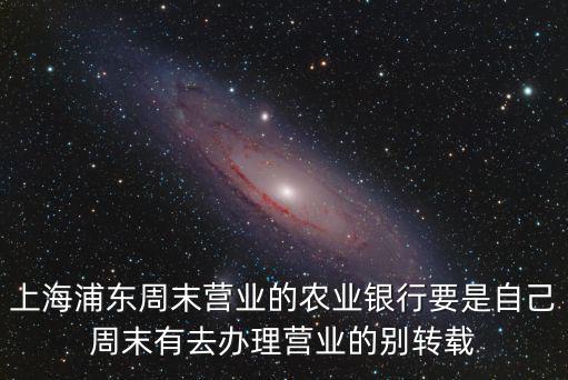 上海浦東周末營業的農業銀行要是自己周末有去辦理營業的別轉載