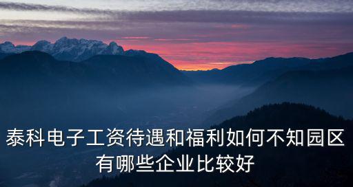 泰科電子工資待遇和福利如何不知園區有哪些企業比較好