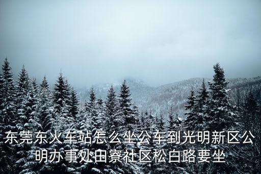 東莞東火車站怎么坐公車到光明新區(qū)公明辦事處田寮社區(qū)松白路要坐