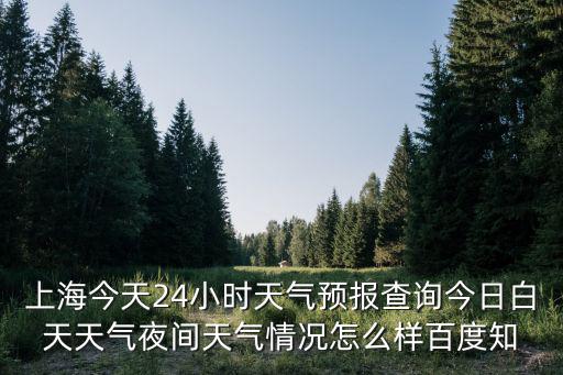 上海今天24小時天氣預(yù)報查詢今日白天天氣夜間天氣情況怎么樣百度知