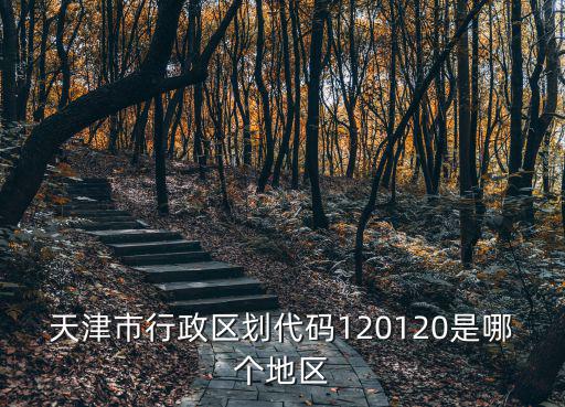 天津市紅橋區劃分代碼，天津市行政區劃代碼120120是哪個地區