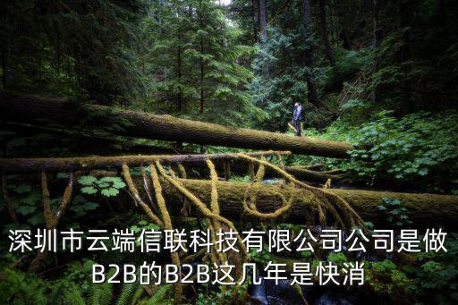 深圳市云端信聯科技有限公司公司是做B2B的B2B這幾年是快消
