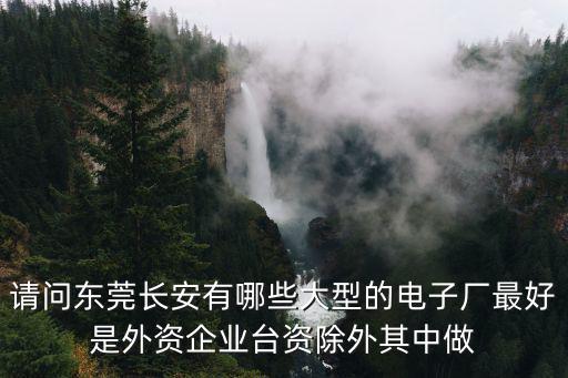 請問東莞長安有哪些大型的電子廠最好是外資企業臺資除外其中做