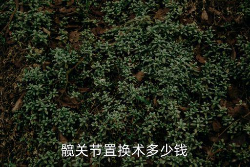 髖關(guān)節(jié)置換術(shù)多少錢