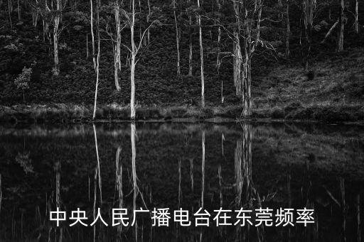 中央人民廣播電臺在東莞頻率