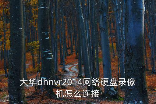 大華dhnvr2014網絡硬盤錄像機怎么連接