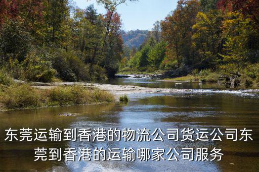 東莞運輸?shù)较愀鄣奈锪鞴矩涍\公司東莞到香港的運輸哪家公司服務