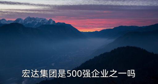 宏達集團是500強企業之一嗎