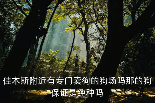 佳木斯附近有專門賣狗的狗場嗎那的狗保證是純種嗎