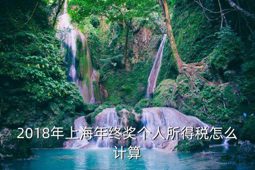 上海市科技人才獎勵 個稅，2018年上海年終獎個人所得稅怎么計算