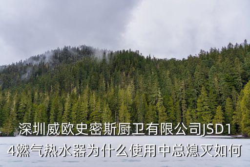 深圳威歐史密斯廚衛有限公司JSD14燃氣熱水器為什么使用中總熄滅如何