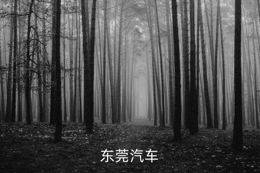東莞 汽車貿(mào)易有限公司 英文，東莞汽車