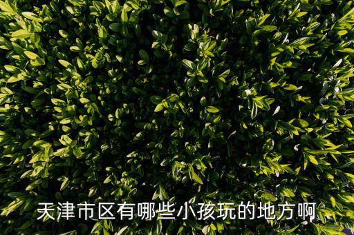 天津市區有哪些小孩玩的地方啊
