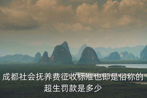 成都社會撫養費征收標準也即是俗稱的超生罰款是多少