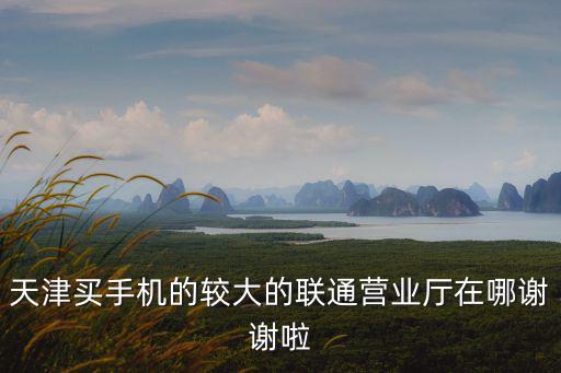 天津買手機(jī)的較大的聯(lián)通營(yíng)業(yè)廳在哪謝謝啦