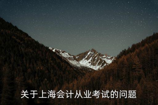 關(guān)于上海會計從業(yè)考試的問題