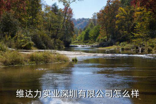 維達(dá)力實業(yè)深圳有限公司怎么樣