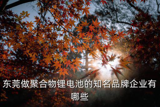 東莞做聚合物鋰電池的知名品牌企業(yè)有哪些