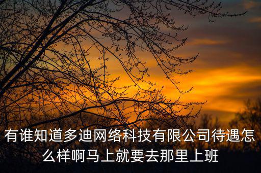有誰知道多迪網絡科技有限公司待遇怎么樣啊馬上就要去那里上班