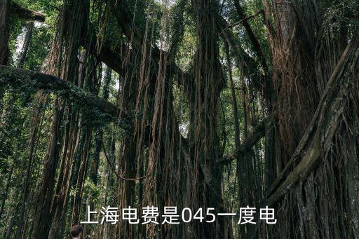 上海電費(fèi)是045一度電