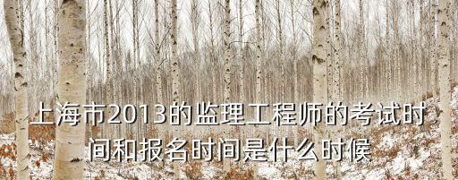 上海市2013的監理工程師的考試時間和報名時間是什么時候