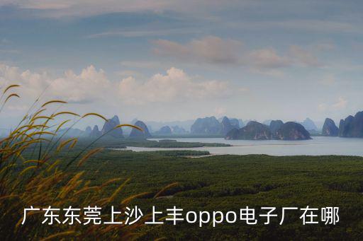 廣東東莞上沙上豐oppo電子廠在哪