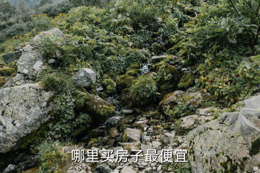 哪里買房子最便宜