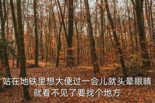 廣州地鐵想拉屎，男童在廣州地鐵車(chē)廂當(dāng)眾大便 你怎么看
