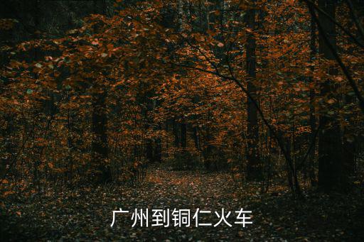 廣州到銅仁火車