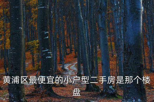黃浦區(qū)最便宜的小戶型二手房是那個(gè)樓盤(pán)