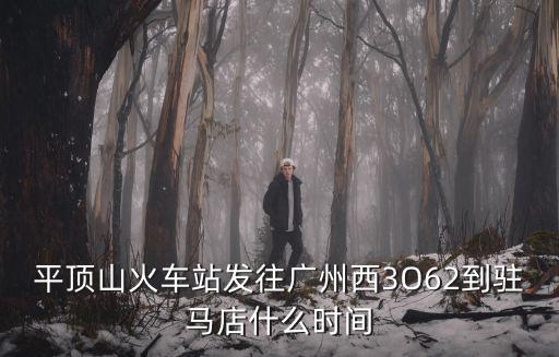 平頂山火車站發往廣州西3O62到駐馬店什么時間