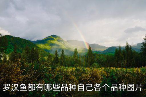 羅漢魚都有哪些品種自己各個(gè)品種圖片