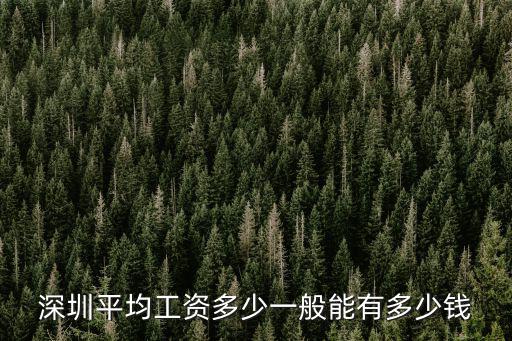 深圳平均工資多少一般能有多少錢