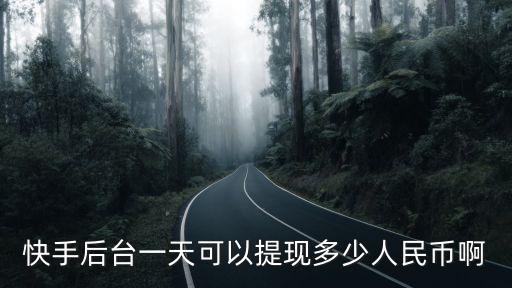 快手后臺一天可以提現多少人民幣啊