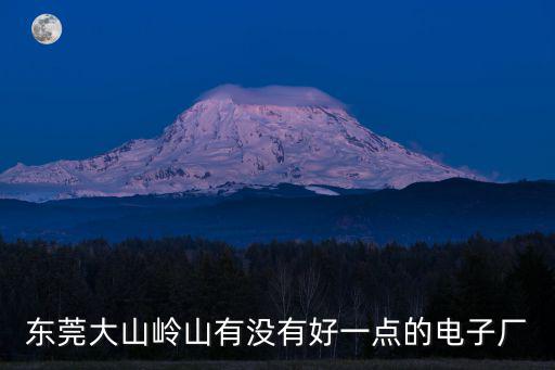 東莞大山嶺山有沒有好一點(diǎn)的電子廠