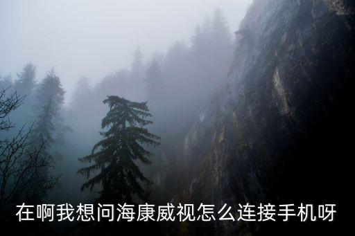 在啊我想問海康威視怎么連接手機呀