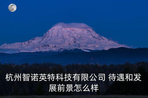 杭州智諾英特科技有限公司 待遇和發(fā)展前景怎么樣