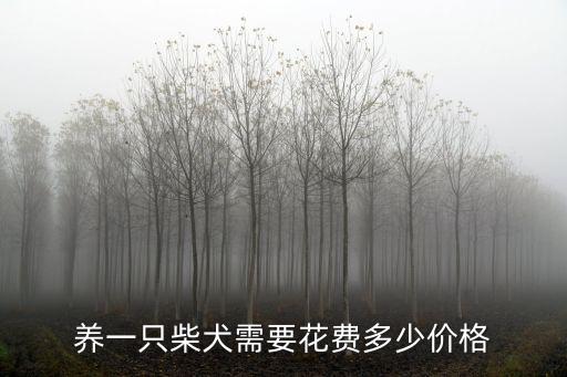養(yǎng)一只柴犬需要花費(fèi)多少價(jià)格