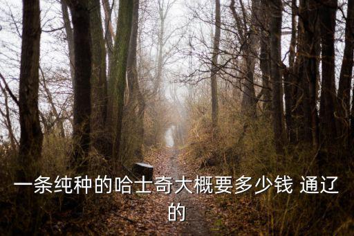 一條純種的哈士奇大概要多少錢 通遼的