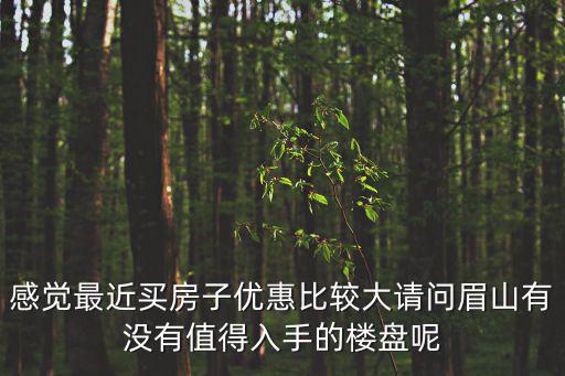 感覺最近買房子優惠比較大請問眉山有沒有值得入手的樓盤呢