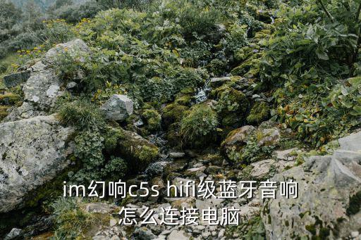 im幻響c5s hifi級藍牙音響怎么連接電腦