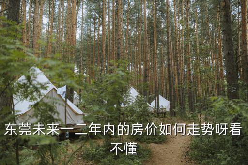 東莞未來一二年內的房價如何走勢呀看不懂