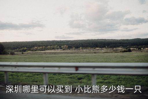 深圳哪里可以買到 小比熊多少錢一只