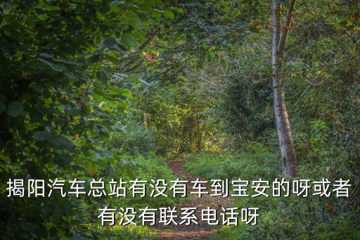 揭陽(yáng)汽車(chē)總站有沒(méi)有車(chē)到寶安的呀或者有沒(méi)有聯(lián)系電話(huà)呀